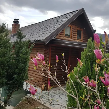 Brvnara - Winter House Vakantiehuis